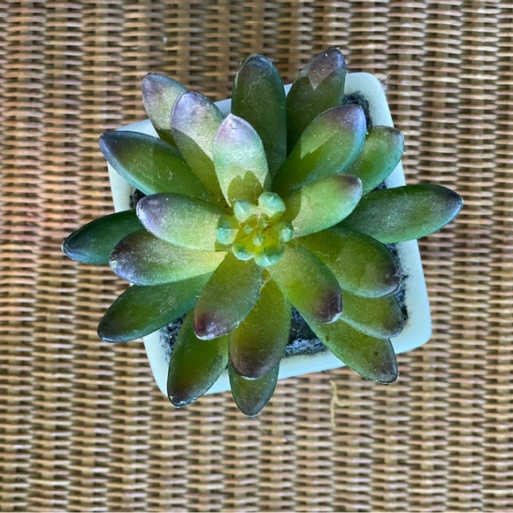 Artificial plant 🪴 - Picture 3 of 4